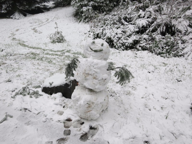 Snowman in Washington Park